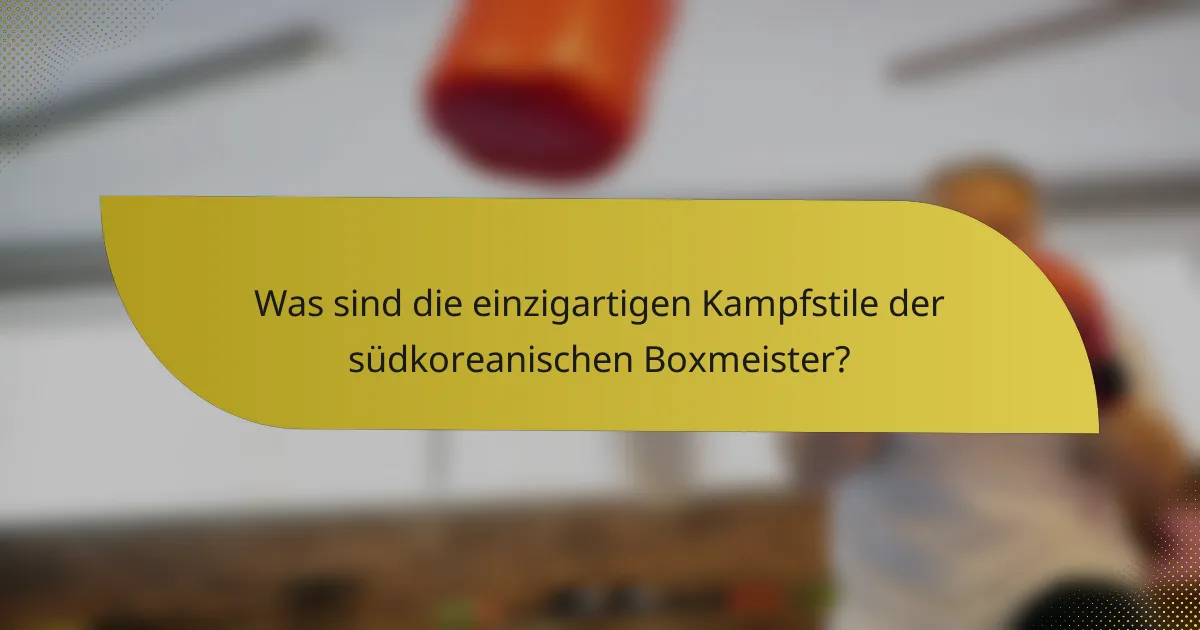 Was sind die einzigartigen Kampfstile der südkoreanischen Boxmeister?