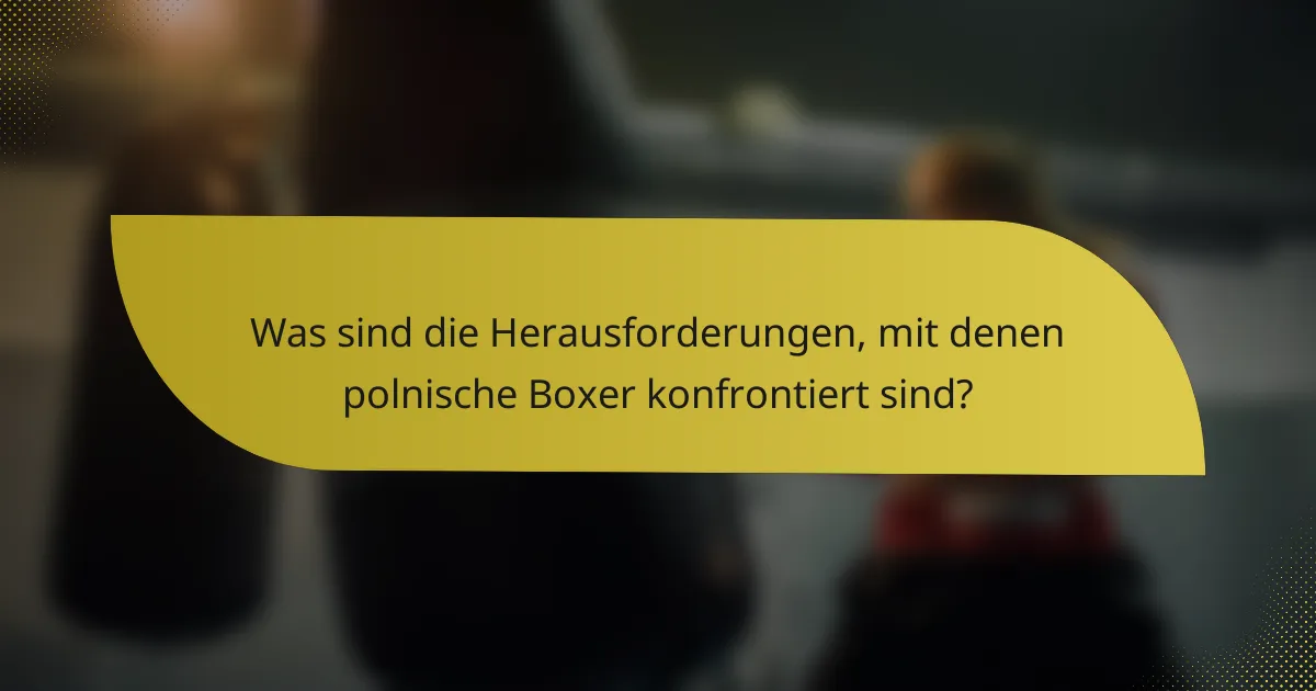 Was sind die Herausforderungen, mit denen polnische Boxer konfrontiert sind?