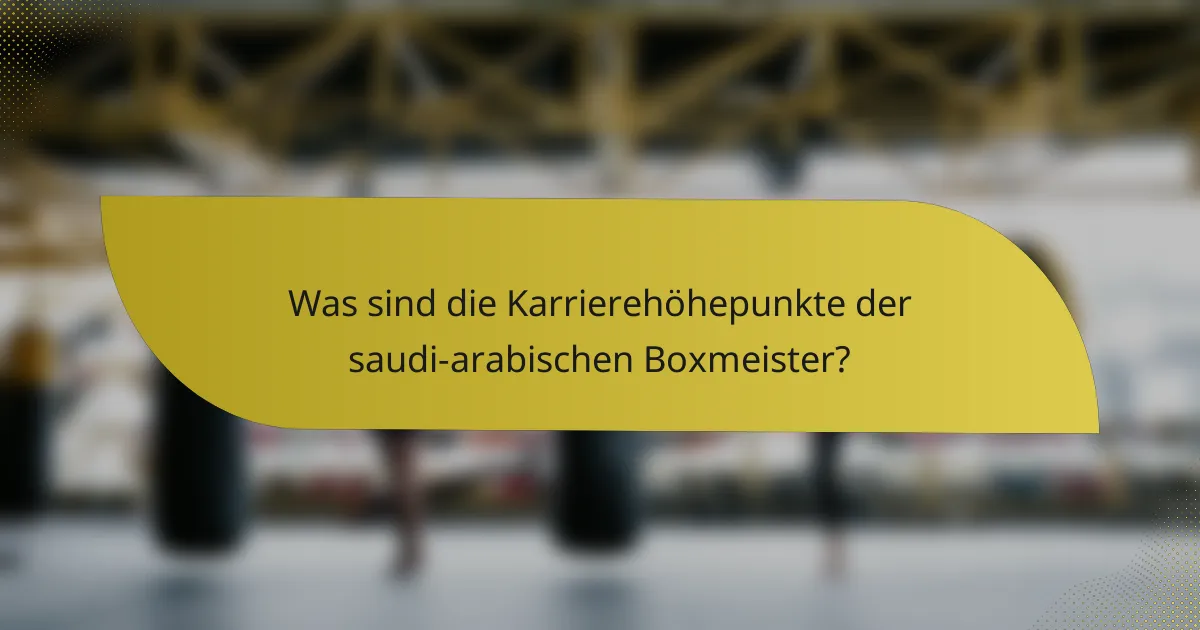Was sind die Karrierehöhepunkte der saudi-arabischen Boxmeister?