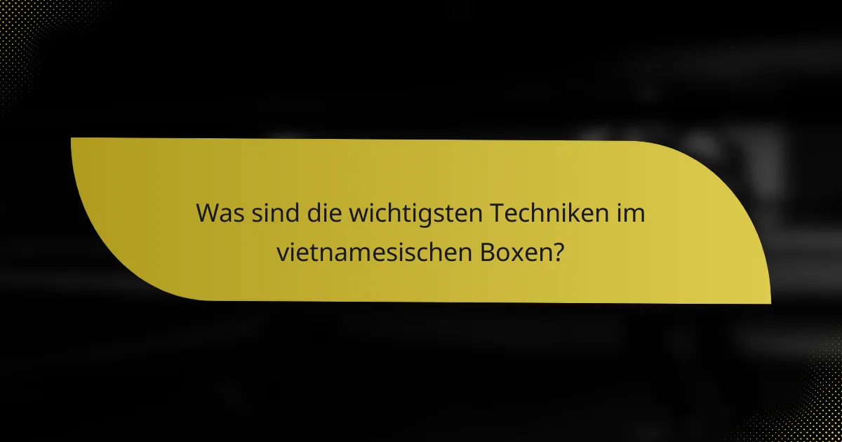 Was sind die wichtigsten Techniken im vietnamesischen Boxen?