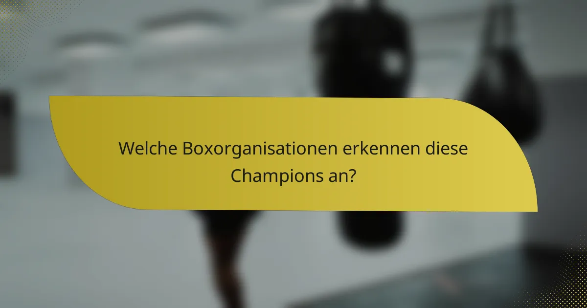 Welche Boxorganisationen erkennen diese Champions an?