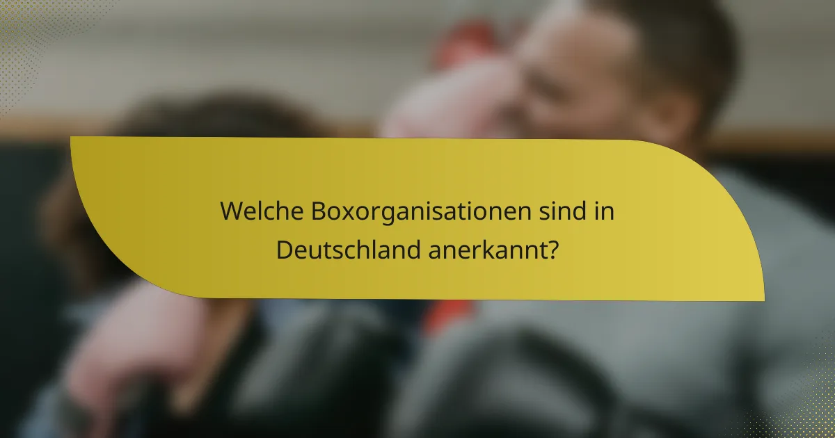 Welche Boxorganisationen sind in Deutschland anerkannt?