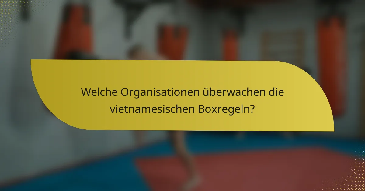 Welche Organisationen überwachen die vietnamesischen Boxregeln?