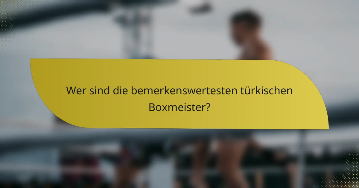 Wer sind die bemerkenswertesten türkischen Boxmeister?