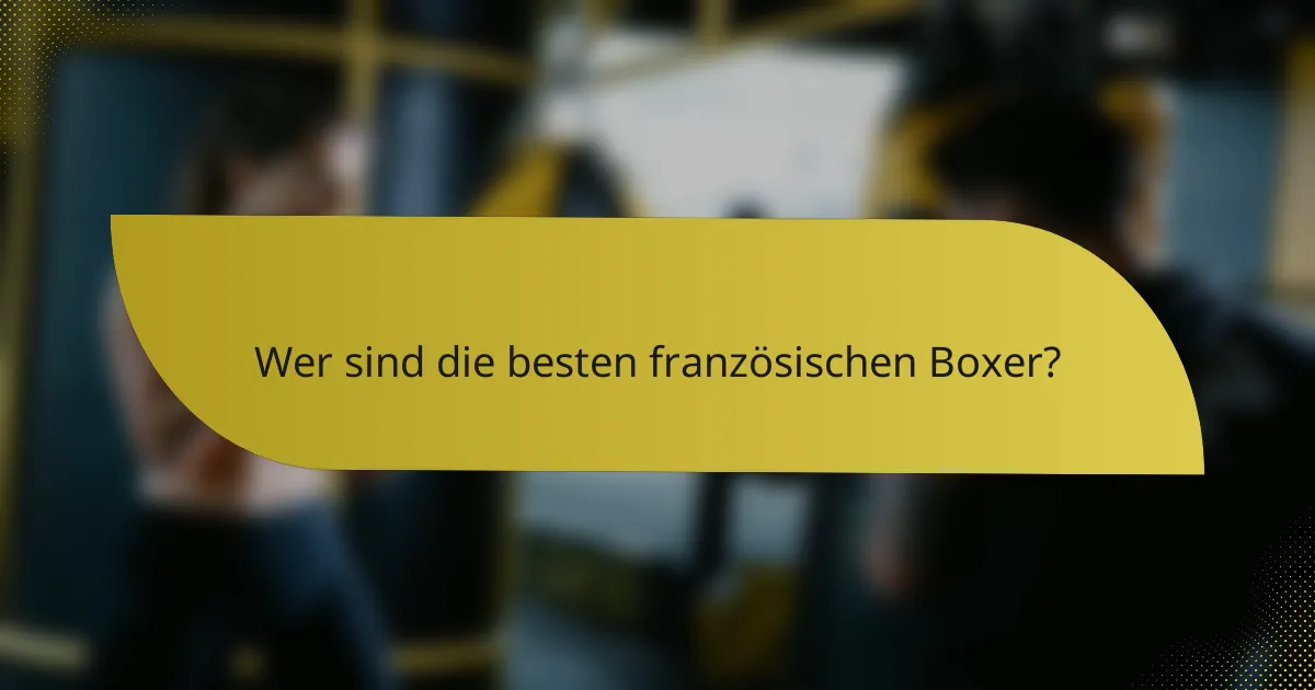 Wer sind die besten französischen Boxer?