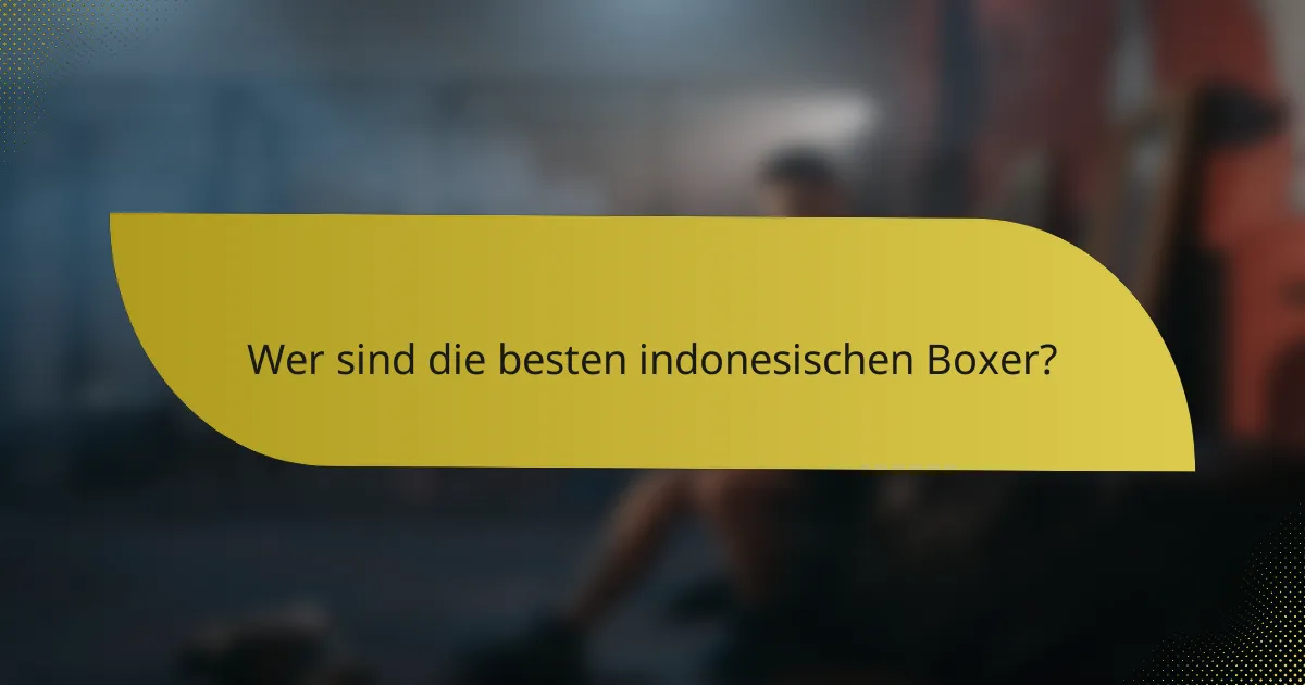 Wer sind die besten indonesischen Boxer?
