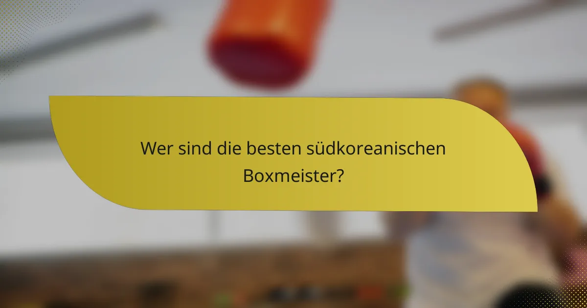 Wer sind die besten südkoreanischen Boxmeister?