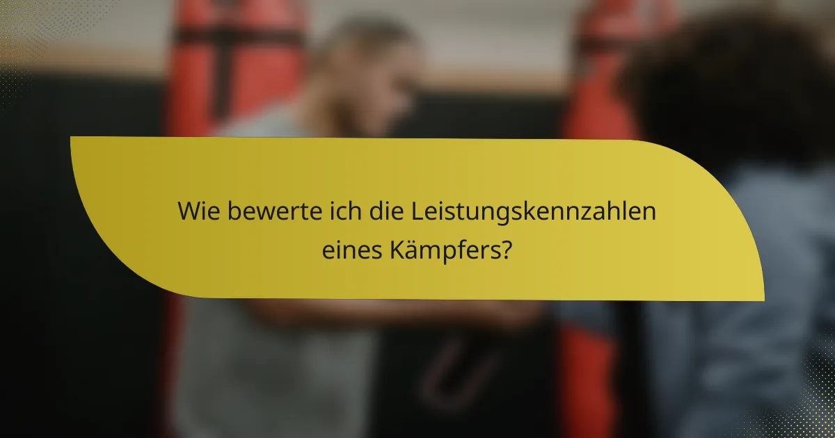 Wie bewerte ich die Leistungskennzahlen eines Kämpfers?