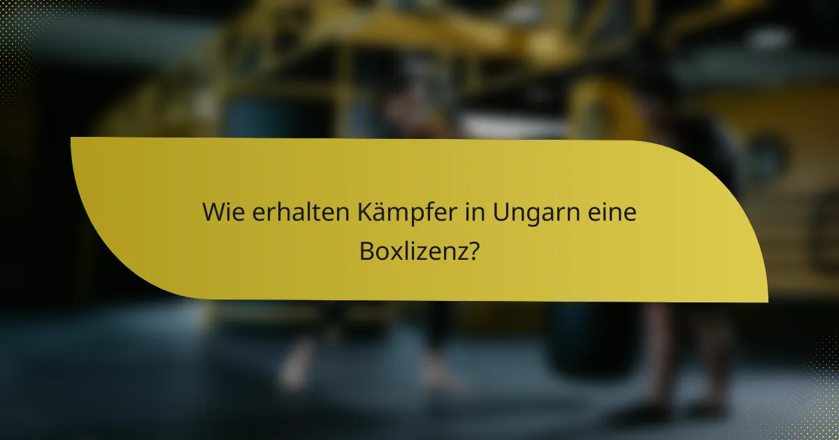 Wie erhalten Kämpfer in Ungarn eine Boxlizenz?